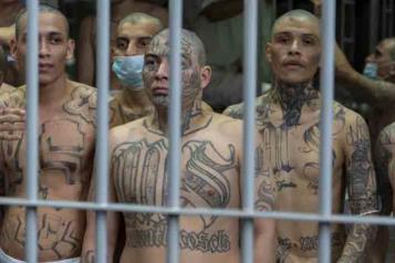 Ofrece EU $5 mdd por la captura de líderes de la pandilla MS-13
