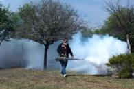 Fumigan 25 colonias de Guadalupe Fumigan 25 colonias de Guadalupe