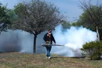 Fumigan 25 colonias de Guadalupe