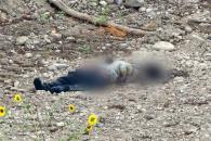 Localizan cadáver en lecho del río SC Localizan cadáver en lecho del río SC