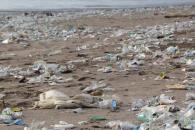 EU señala a México por daños ambientales