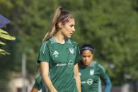 Tienen felinas dominio en el Uni Tienen felinas dominio en el Uni