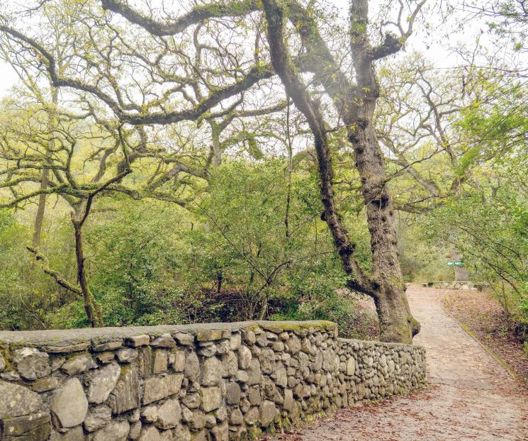 Cuenta con tres nuevos recorridos Cuenta con tres nuevos recorridos