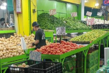 Sube considerablemente el precio del aguacate y tomate