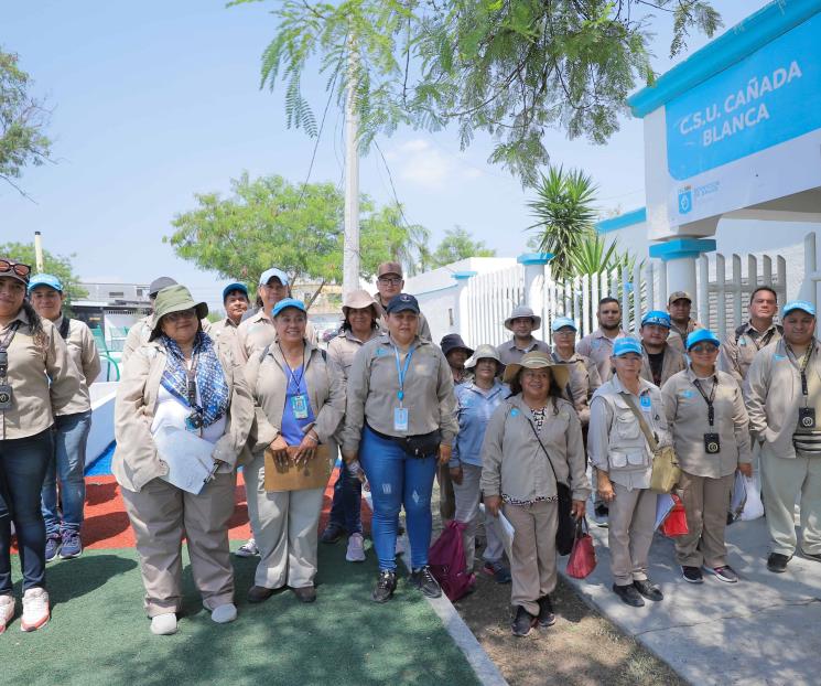 Refuerza su campaña contra el mosquito transmisor del dengue Refuerza su campaña contra el mosquito transmisor del dengue