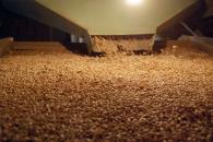 Crean Prosebien para impulsar producción de semillas Crean Prosebien para impulsar producción de semillas