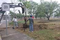 Siembran 75 árboles en colonia de Apodaca