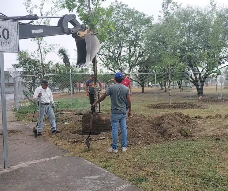 Siembran 75 árboles en colonia de Apodaca