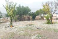 Sorprende caída de granizo en Galeana Sorprende caída de granizo en Galeana