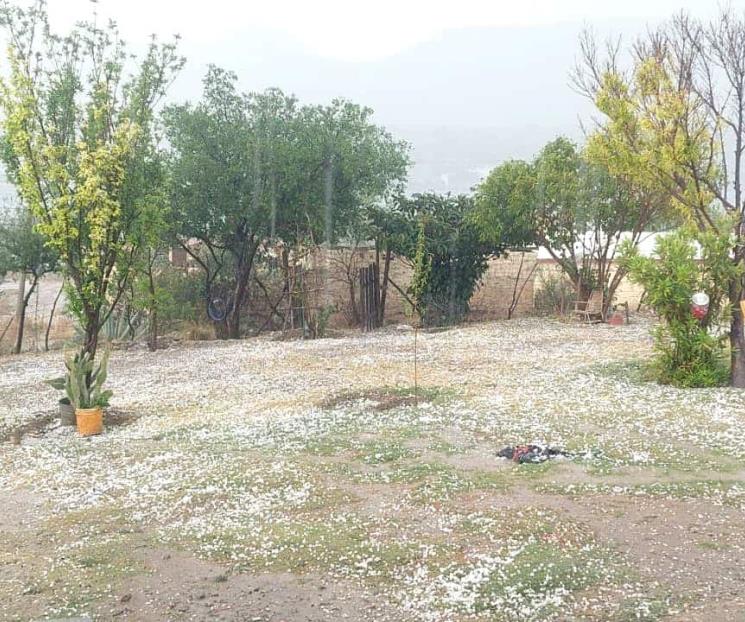 Sorprende caída de granizo en Galeana Sorprende caída de granizo en Galeana