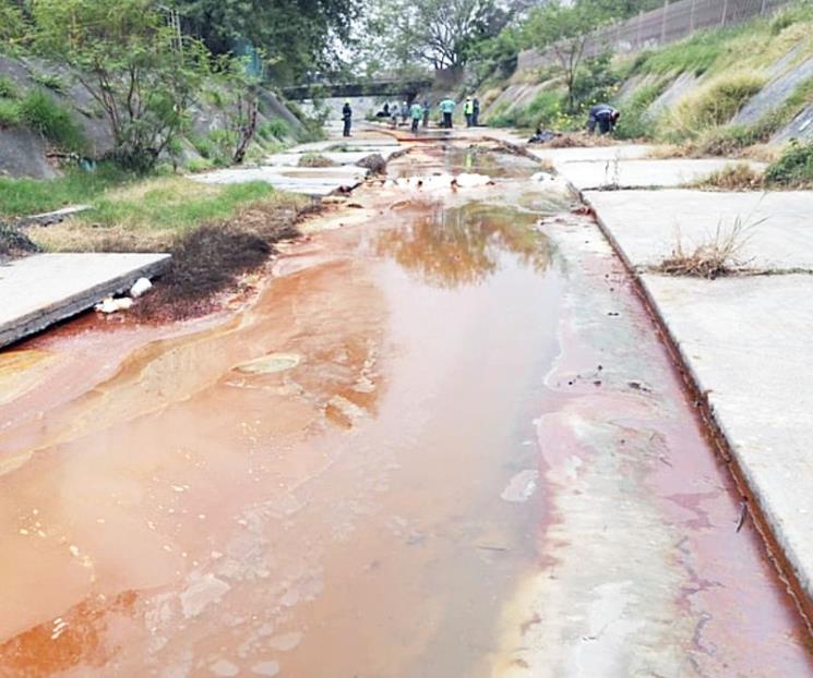 Aplicará Estado todo el peso de la ley a Ternium