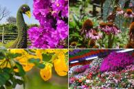 Descubre los 4 destinos florales imperdibles en Puebla