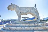 Una década siendo un ícono monumental del espíritu universitario