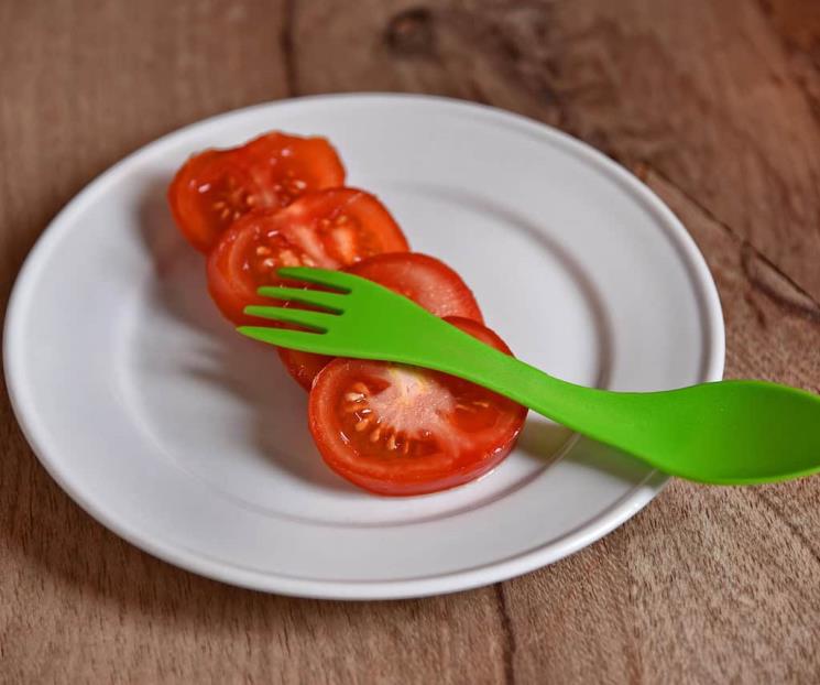 Cómo se deben lavar los trastes de plástico Cómo se deben lavar los trastes de plástico