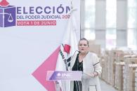 INE solo revisará perfiles dentro de su competencia