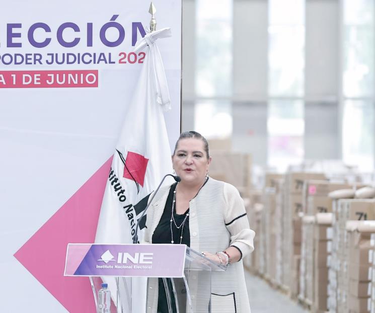 INE solo revisará perfiles dentro de su competencia INE solo revisará perfiles dentro de su competencia