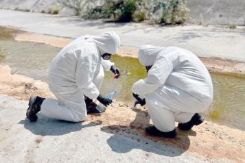 Investigan presunta muerte de especies a causa de derrame