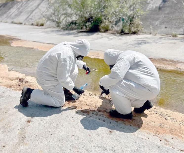 Investigan presunta muerte de especies a causa de derrame Investigan presunta muerte de especies a causa de derrame