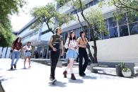 Celebra FAV 45 años de arte, identidad y transformación Celebra FAV 45 años de arte, identidad y transformación