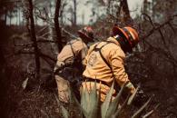 Sofoca Protección Civil incendio en Sierra de Galeana Sofoca Protección Civil incendio en Sierra de Galeana