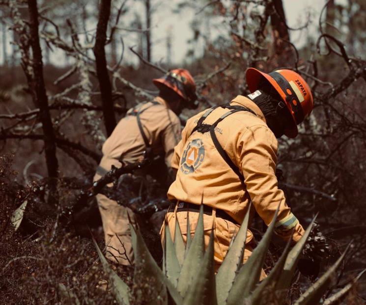 Sofoca Protección Civil incendio en Sierra de Galeana Sofoca Protección Civil incendio en Sierra de Galeana