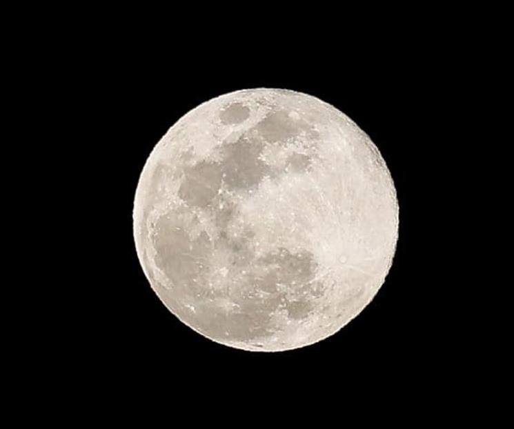 Luna de Flores 2025 en México; cuándo ver el fenómeno astronómico Luna de Flores 2025 en México; cuándo ver el fenómeno astronómico