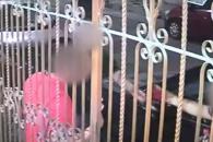 Buscan a dos por robo de camioneta