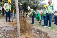 Ya van 650 mil árboles plantados: Samuel