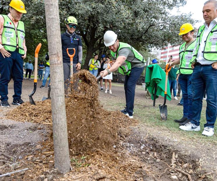 Ya van 650 mil árboles plantados: Samuel Ya van 650 mil árboles plantados: Samuel