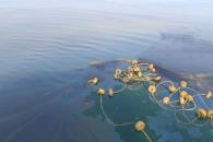 Cierran playas en Paraíso por derrame de hidrocarburos Cierran playas en Paraíso por derrame de hidrocarburos