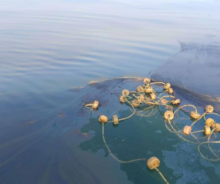 Cierran playas en Paraíso por derrame de hidrocarburos Cierran playas en Paraíso por derrame de hidrocarburos