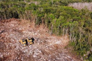 Impulsa Conanp restauración ecológica tras las obras del Tren Maya