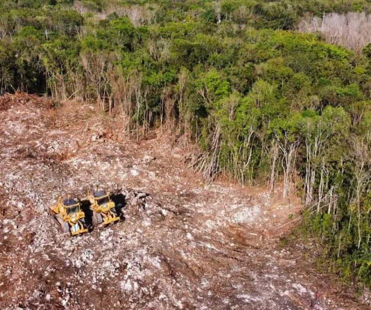 Impulsa Conanp restauración ecológica tras las obras del Tren Maya Impulsa Conanp restauración ecológica tras las obras del Tren Maya