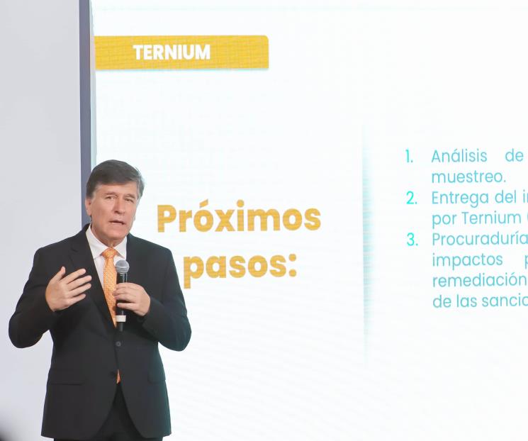 Va Estado por una sanción ejemplar para Ternium Va Estado por una sanción ejemplar para Ternium