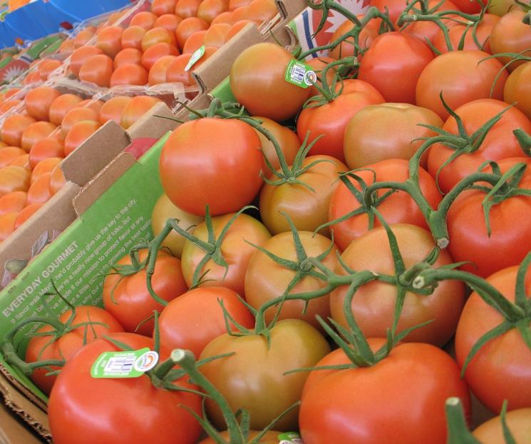Jitomate y aguacate, productos agrícolas que más exporta México a EU Jitomate y aguacate, productos agrícolas que más exporta México a EU
