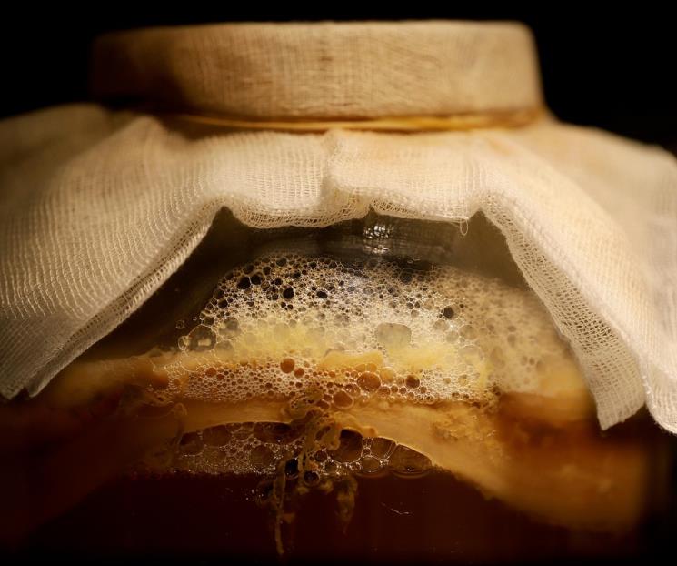 Kombucha: un fermento milenario Kombucha: un fermento milenario