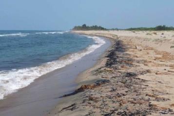 Investigará ASEA a Pemex tras derrame de crudo en Dos Bocas