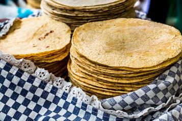 Aseguran que subirá la tortilla por reforma laboral