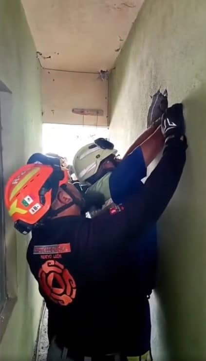 Elementos de Protección Civil Nuevo León, lograron rescatar con vida a un gato, que terminó prensado entre las paredes de dos viviendas, en la Colonia Del Mirador en San Nicolás.