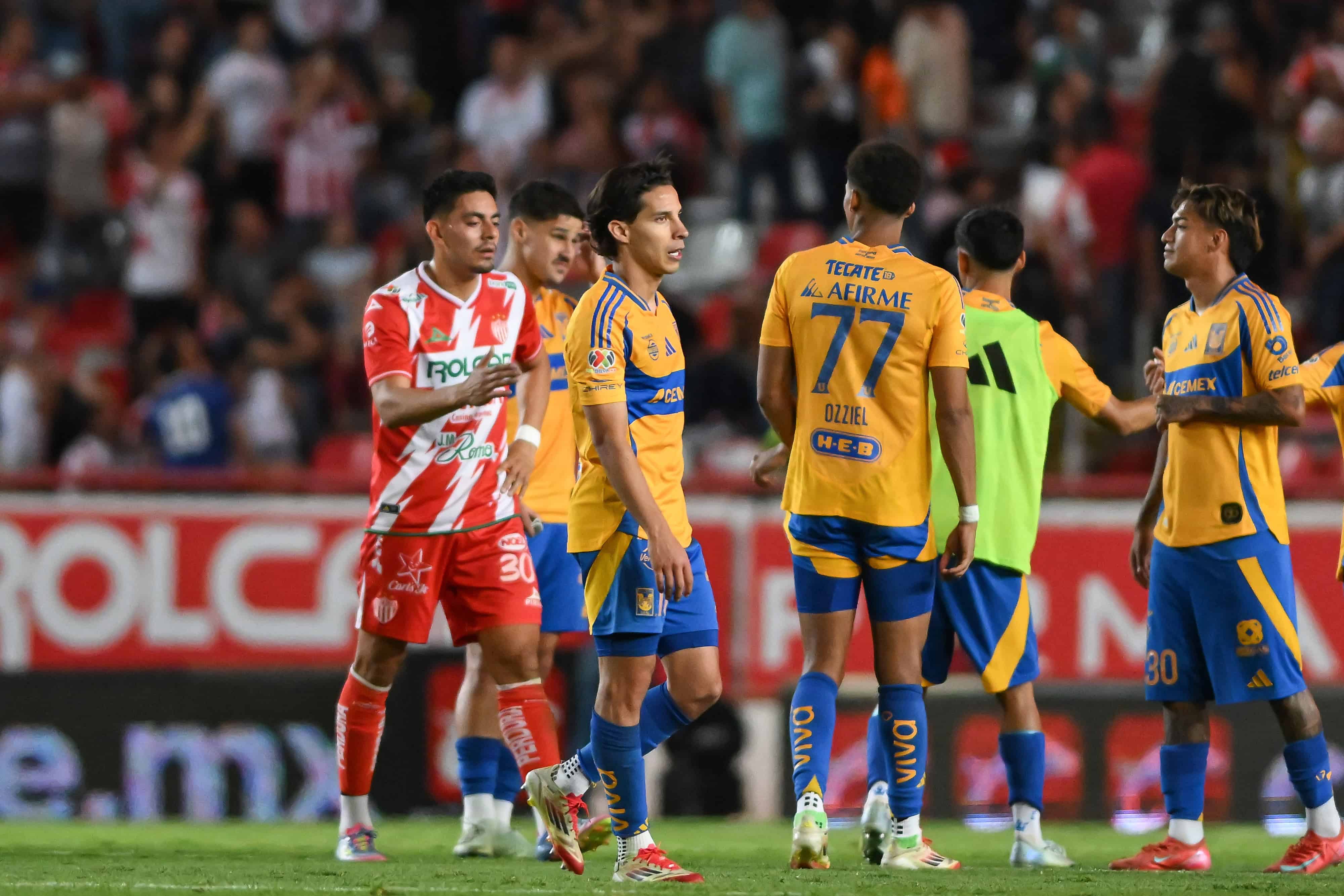 Rayos y felinos no se hacen daño en la Ida.