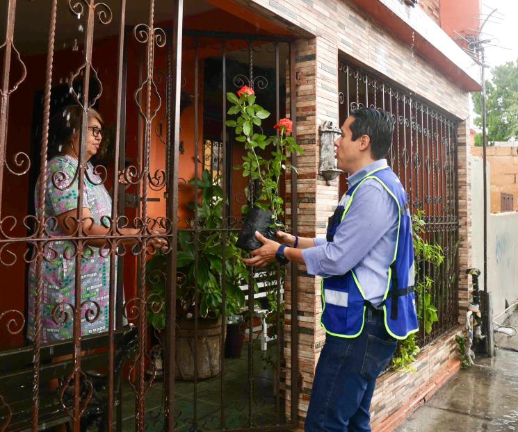 Comienza SN la entrega de rosales en más de 120 mil viviendas Comienza SN la entrega de rosales en más de 120 mil viviendas