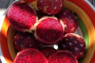 Festival de la Pitaya 2025: lugar, fecha y actividades Festival de la Pitaya 2025: lugar, fecha y actividades