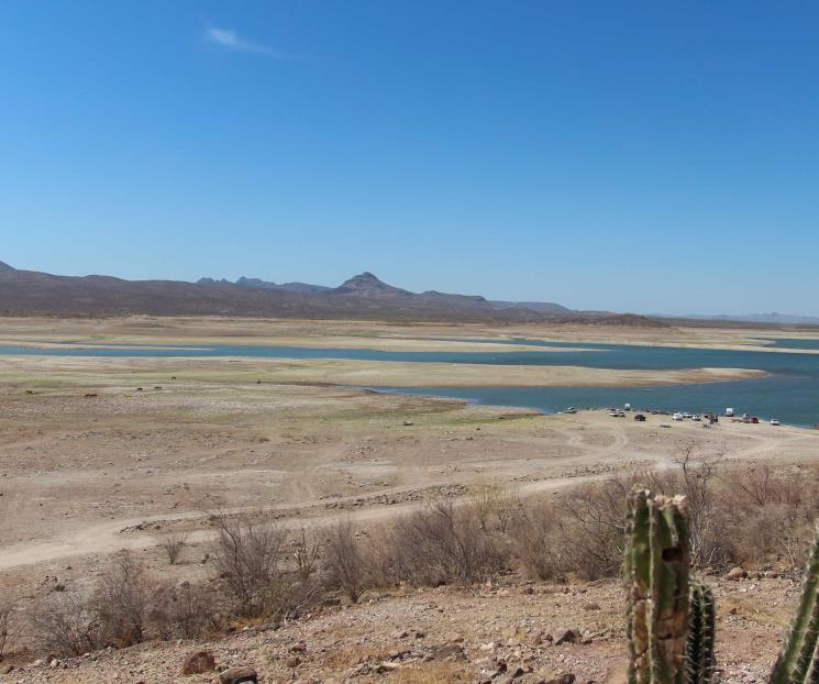 Conagua y Sader apoyarán a entidades afectadas por sequía: Sheinbaum Conagua y Sader apoyarán a entidades afectadas por sequía: Sheinbaum