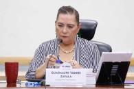 "Informará INE cómputo, no resultados definitivos" "Informará INE cómputo, no resultados definitivos"