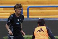 Podrían felinos contar con Carioca y Pereira Podrían felinos contar con Carioca y Pereira