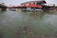 Pemex estima concluir limpieza de derrame en Dos Bocas Pemex estima concluir limpieza de derrame en Dos Bocas