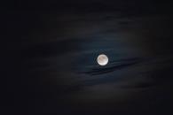 ¿Qué es la microluna?; será visible en la Luna de Flores ¿Qué es la microluna?; será visible en la Luna de Flores