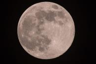 Luna de Flores 2025 en México; los puntos claves Luna de Flores 2025 en México; los puntos claves