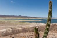 Intervendrán Conagua y Sader en zonas con sequía en el país