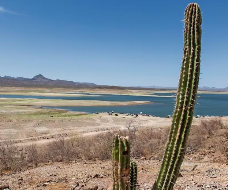 Intervendrán Conagua y Sader en zonas con sequía en el país Intervendrán Conagua y Sader en zonas con sequía en el país